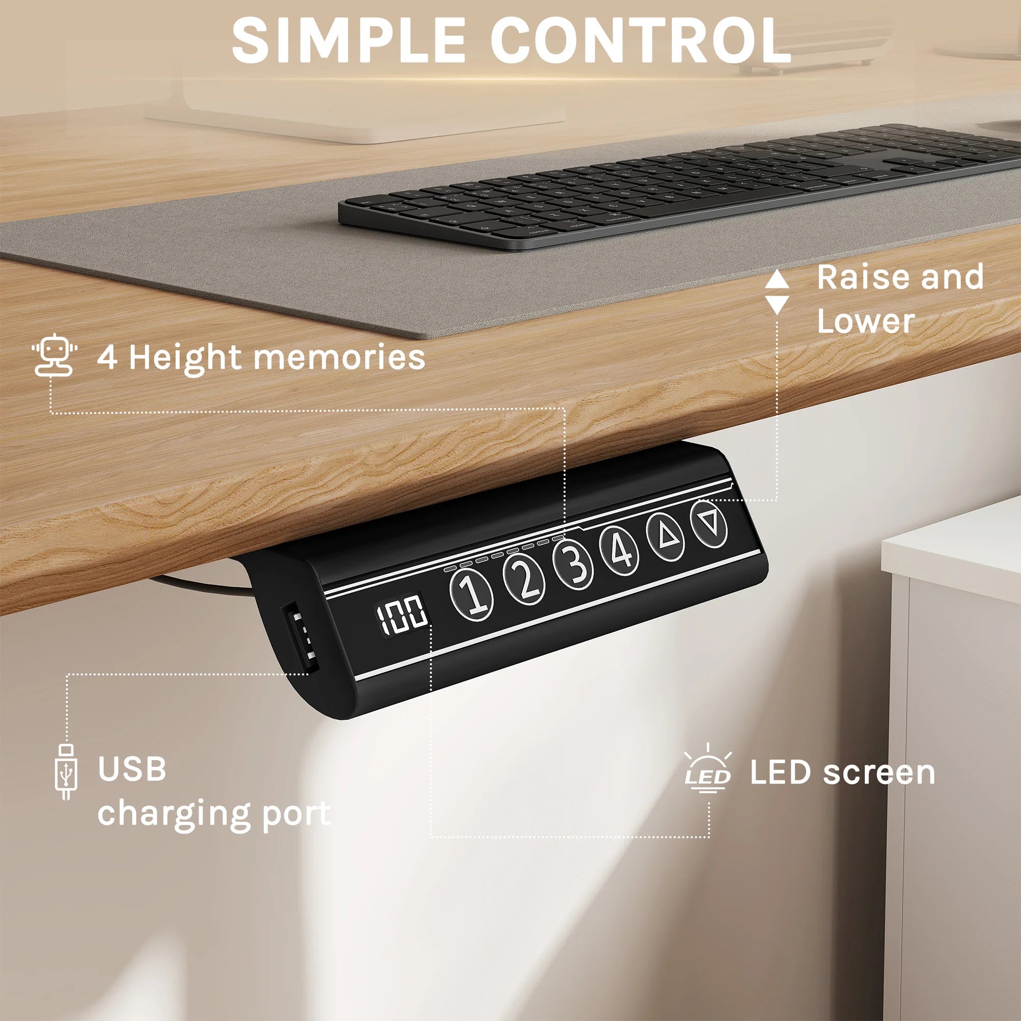 WOLTU Soporte de escritorio de altura ajustable con elevación eléctrica y puerto de carga USB, control de memoria para oficina en casa